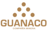 Guanaco